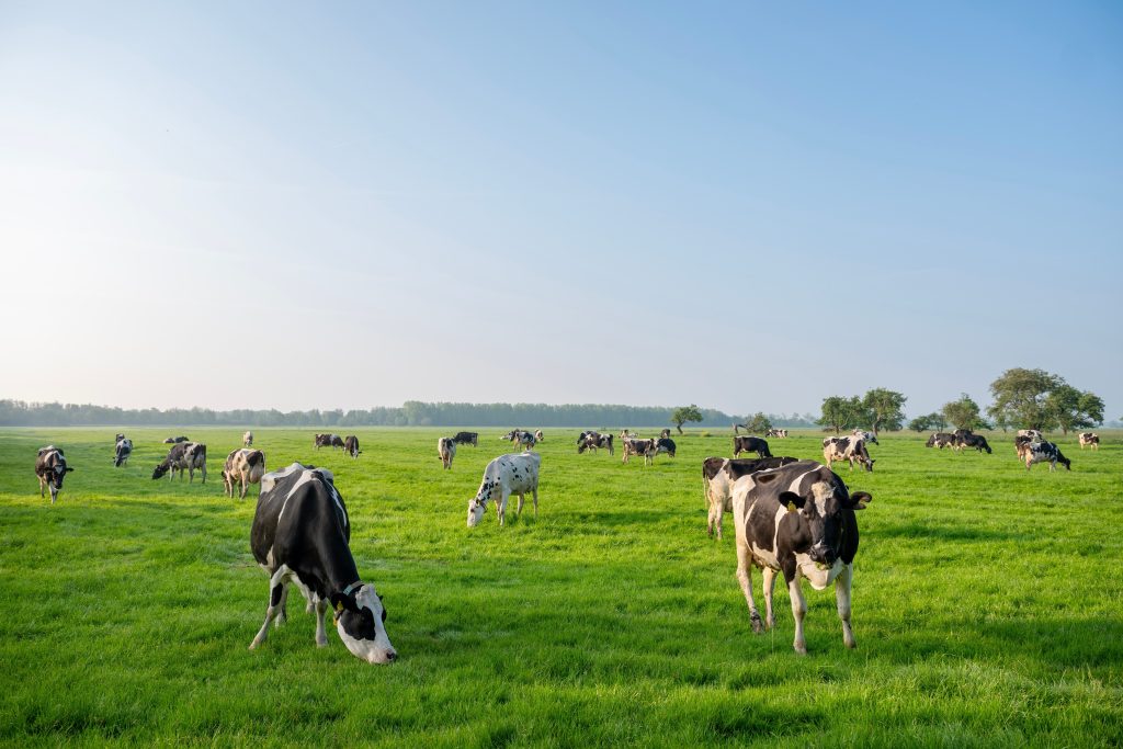 Livestock Methane Emissions Monitoring
